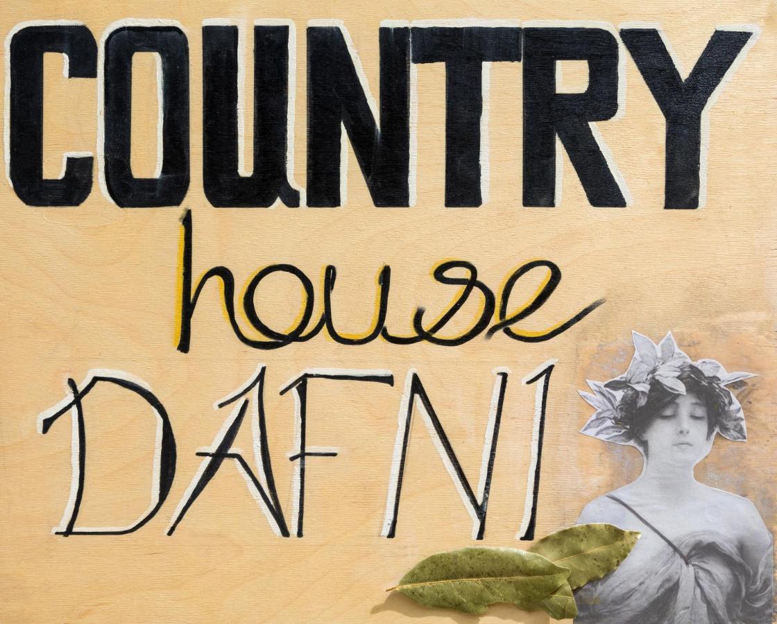 Country House Dafni Vasilikí Kültér fotó